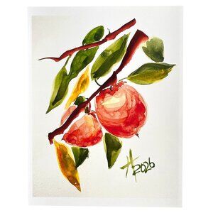 Art Print Artist Proof No1 Persimmons on a  Branch 11x14in Matted Frame Ready
